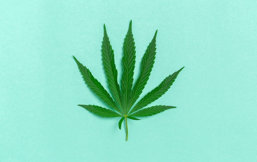L'Agence du Médicament interdit la vente du dérivé de cannabis HHC : une décision nécessaire pour protéger la santé publique