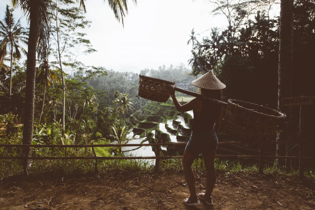 Tout savoir sur les conditions légales d'obtention d'un visa pour Bali