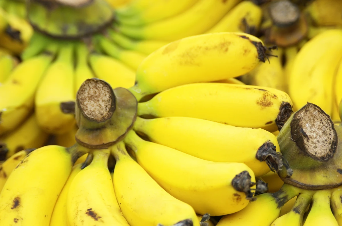 La marque Chiquita perd son ovale bleu et jaune emblématique dans l'Union européenne