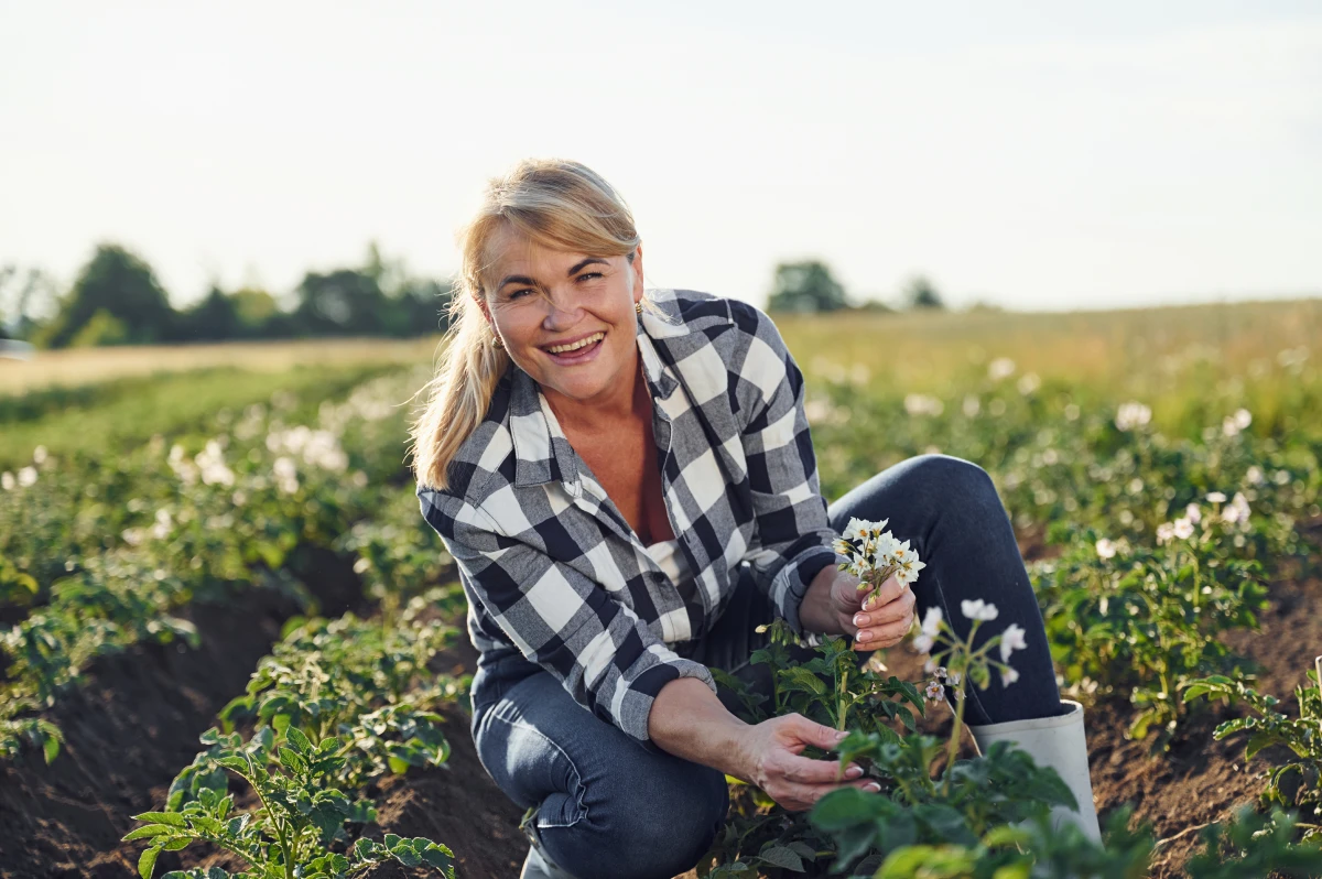 Crédit d'impôt HVE : un levier fiscal pour l'agriculture durable